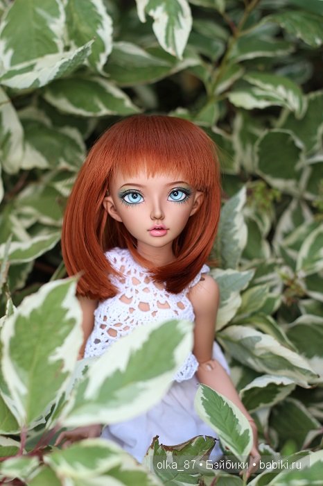 Дачные зарисовки или Астер на прогулке (Минифи Селин) (фото 8)