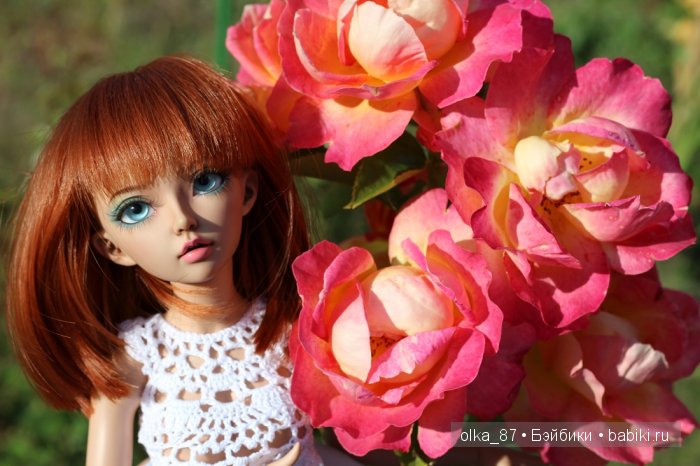 Дачные зарисовки или Астер на прогулке (Минифи Селин)