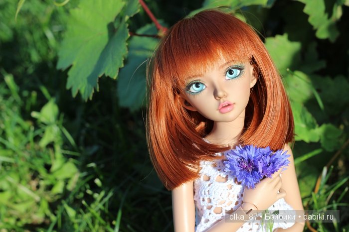 Дачные зарисовки или Астер на прогулке (Минифи Селин)