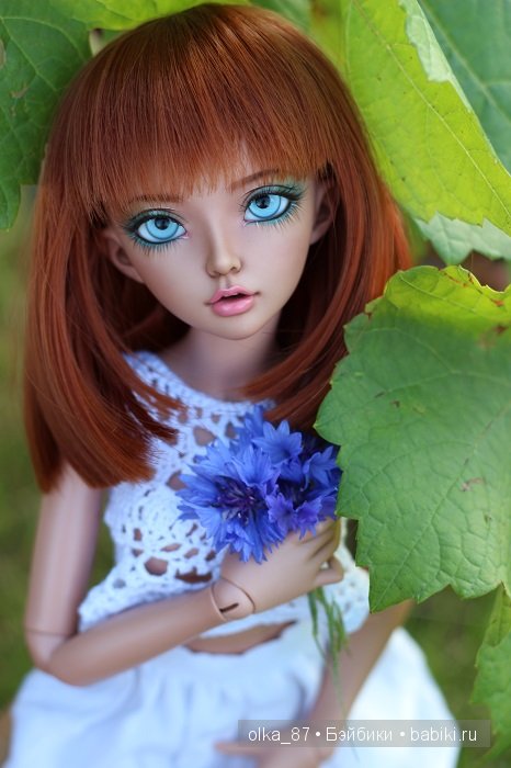 Дачные зарисовки или Астер на прогулке (Минифи Селин)