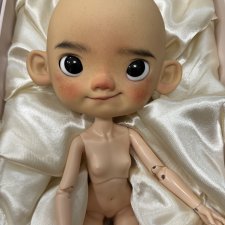 Pipi H.minor Срочно!