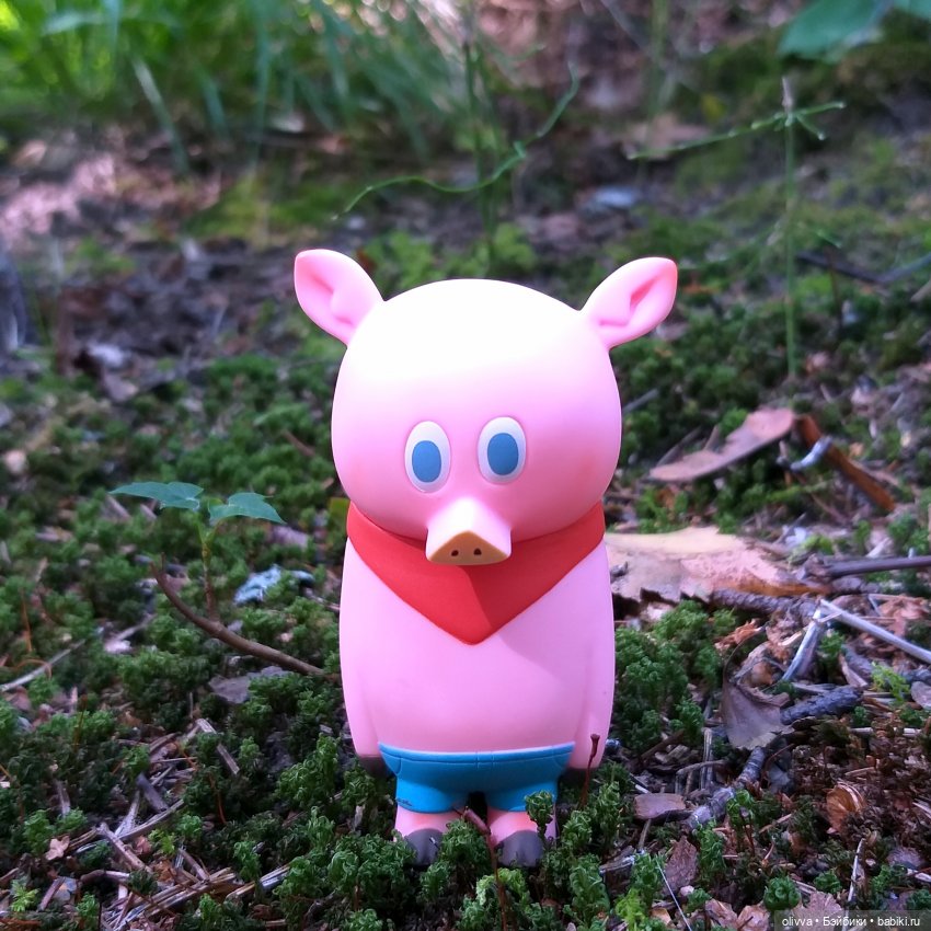 Привет Жорику 🐷