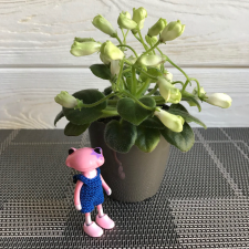 Маленькие лягушата Wonder Frog и цветы