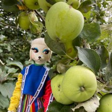 4 сезона Peteena от Hasbro