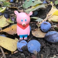 Поросенок Ву.