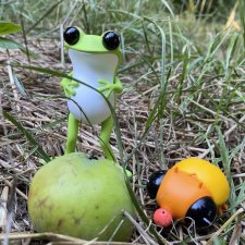 Лягушки Apo Frog от Twelvedot