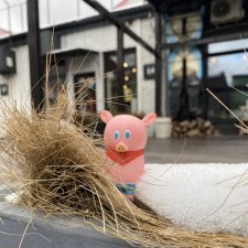 Поросенок Ву. Продолжаем гулять.