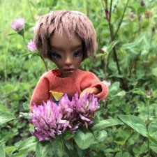 Amigata. Мастер Nothing Sapiens