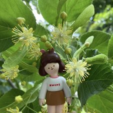 И снова Kwoni…