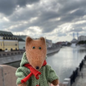 Когда лисенок на прогулке…