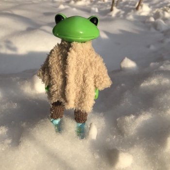 Maks. Осень. Зима