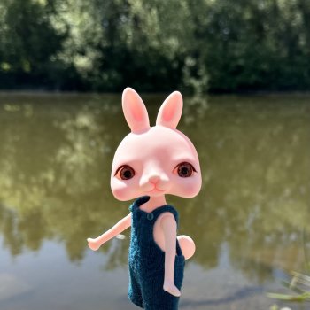 Кролик Tokissi