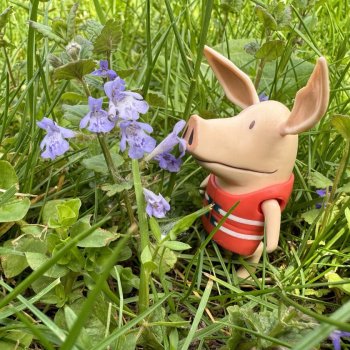 Лето Оливии 2024