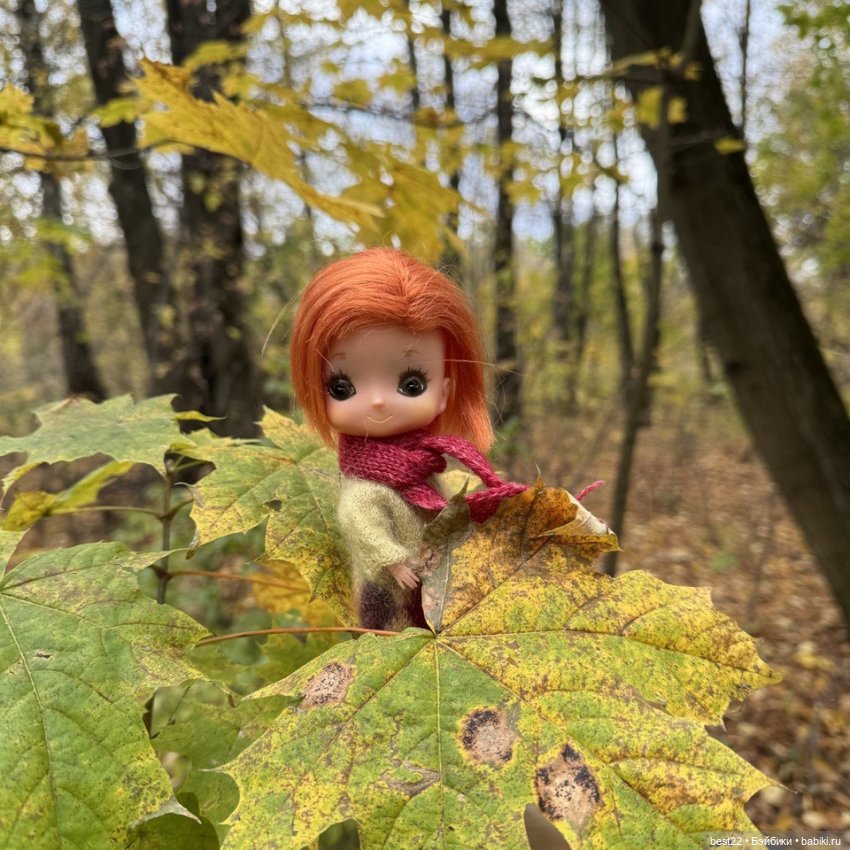 Лизка. Октябрь, ноябрь 2024 (фото 8)