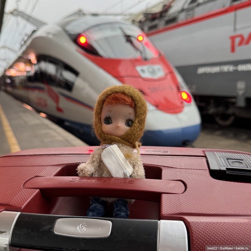 Лизка. Октябрь, ноябрь 2024 (фото 2)