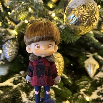 Pututu. Декабрь 2024