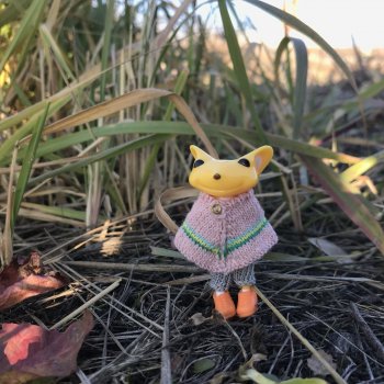 Из лягушонка в мышонка