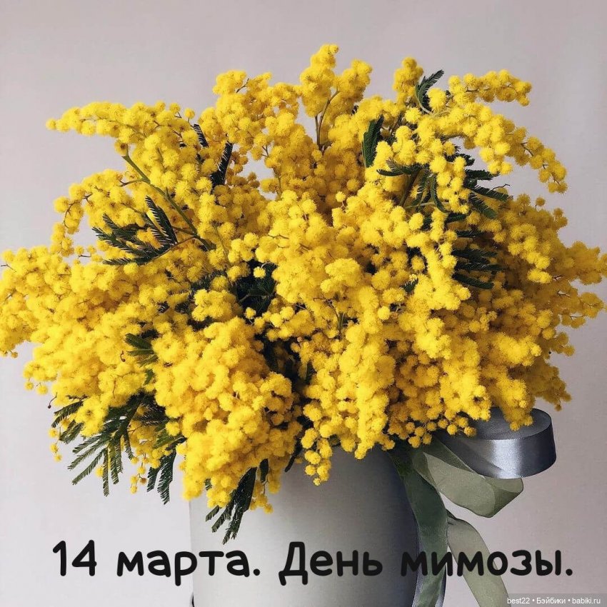 Флешмоб. День мимозы — Кукольные флешмобы: Эстафеты