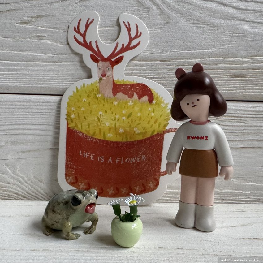 Из жизни лягухи-путешественницы (фото 5)