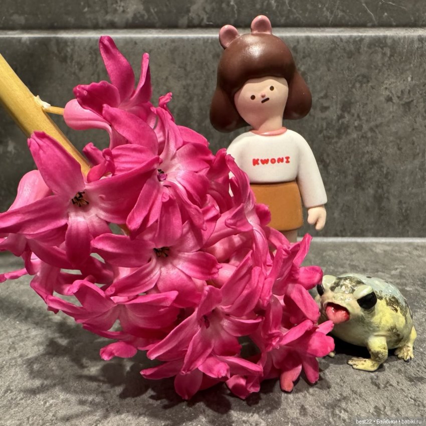 Из жизни лягухи-путешественницы