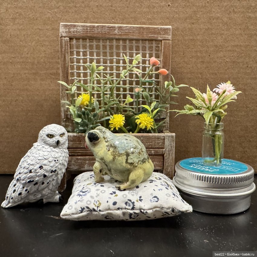 Из жизни лягухи-путешественницы