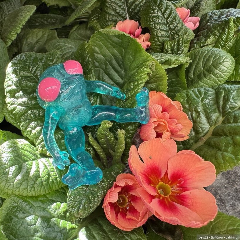 Квакушка с розовыми глазами (фото 9)