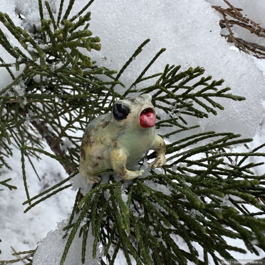 Из жизни лягухи-путешественницы (фото 3)
