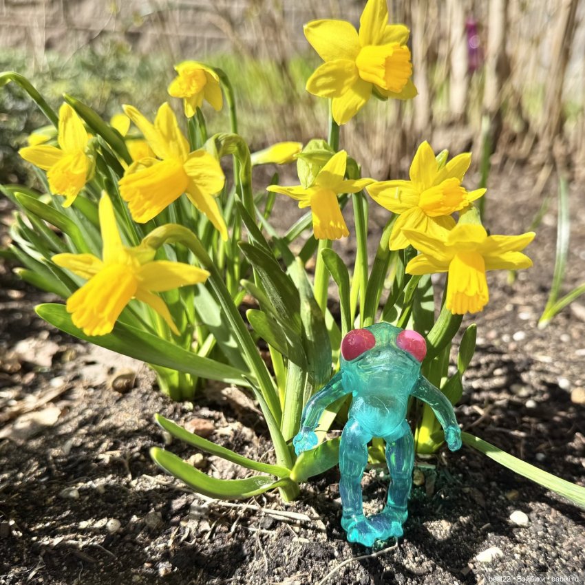 Квакушка с розовыми глазами