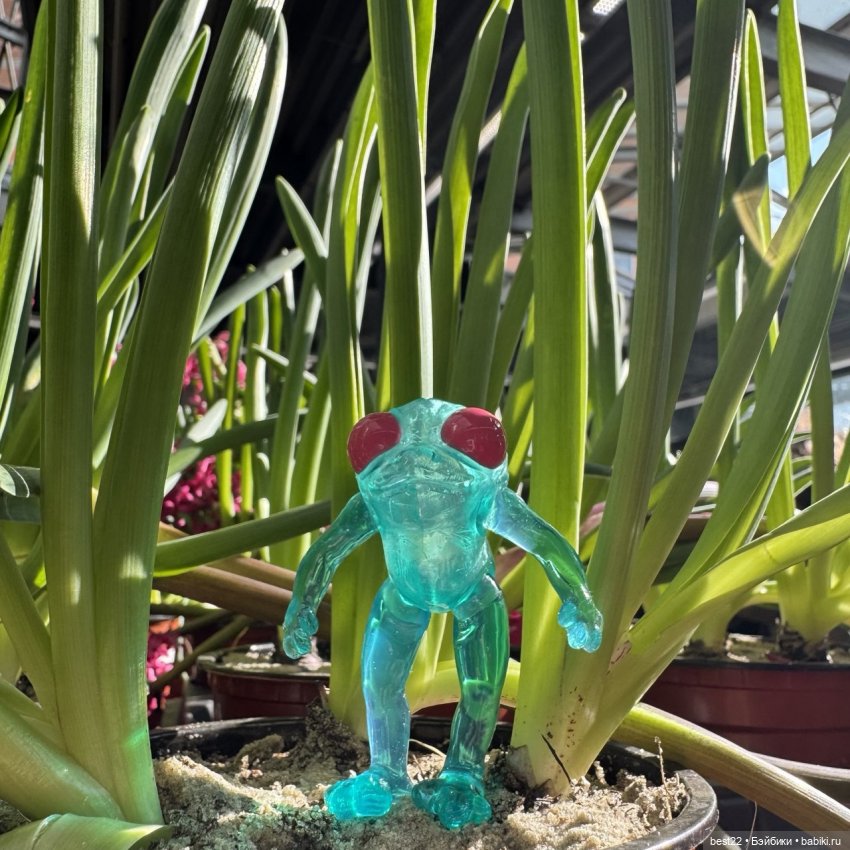 Квакушка с розовыми глазами (фото 10)