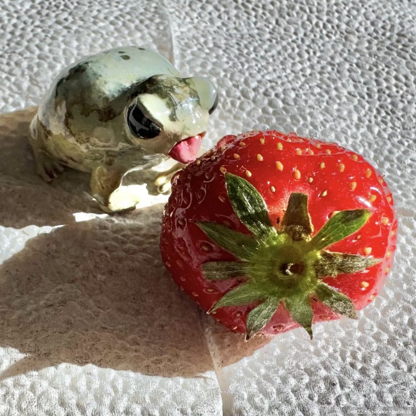 Из жизни лягухи-путешественницы