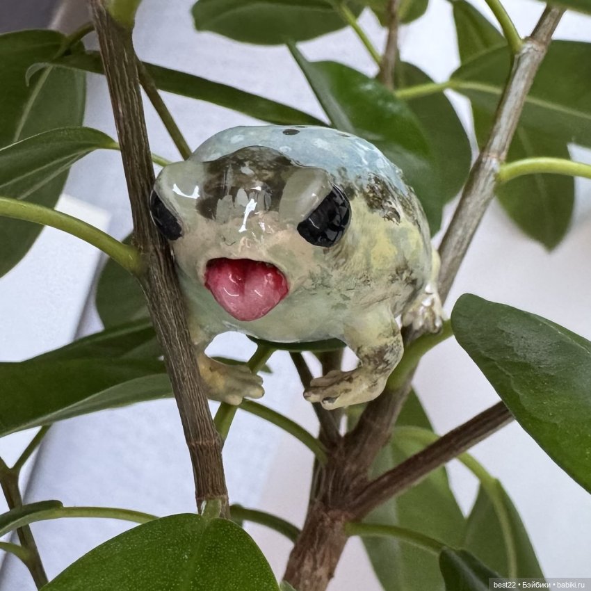 Из жизни лягухи-путешественницы (фото 10)