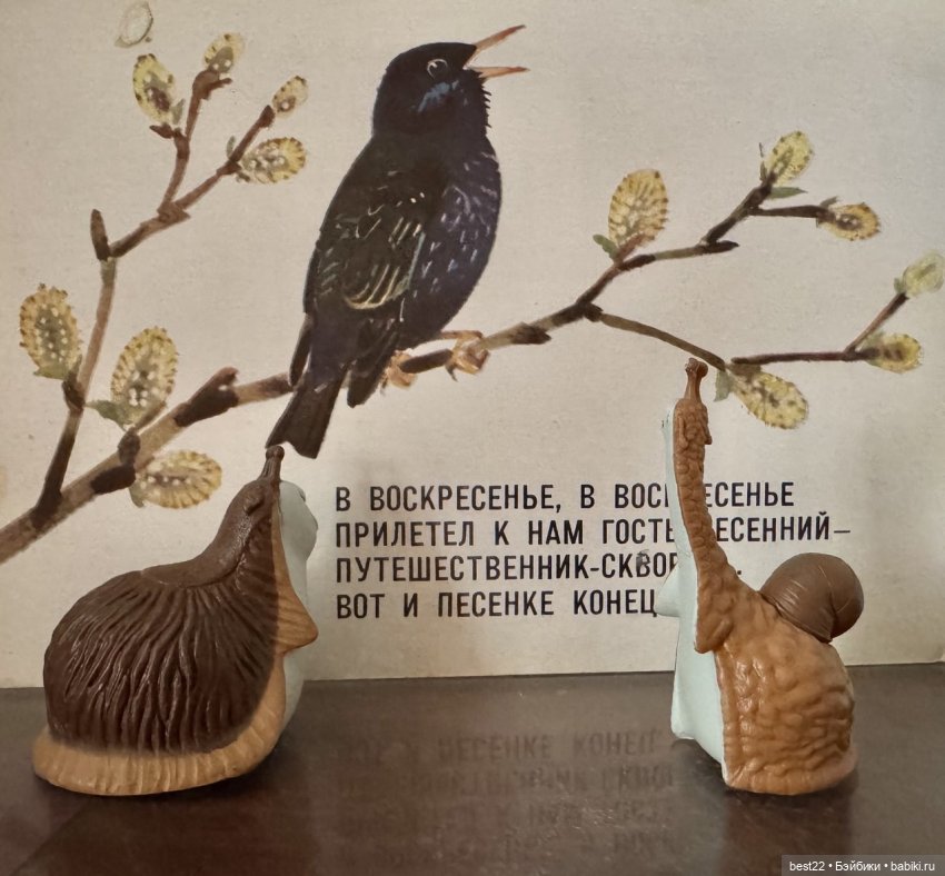 Улитки Маб и Граб. Май-2025