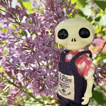 Красавчик Nico