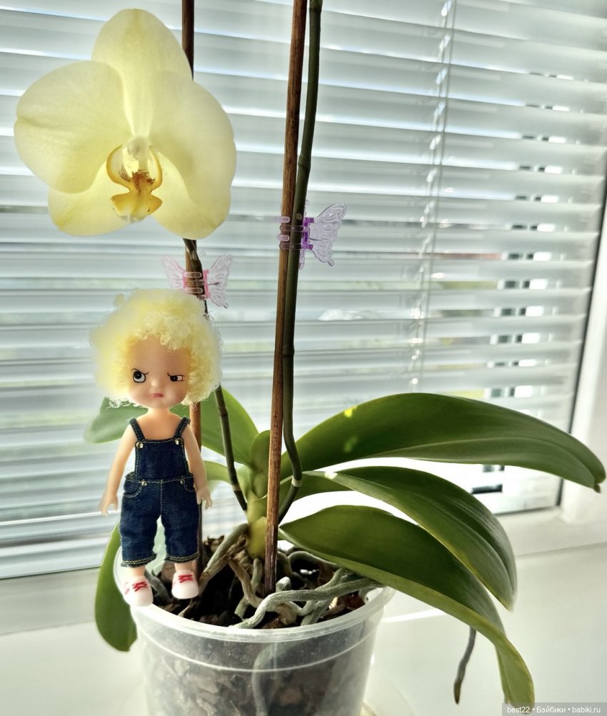 Baobao doll — Игровые куклы разных производителей (Разное): редкие бренды (фото 6)