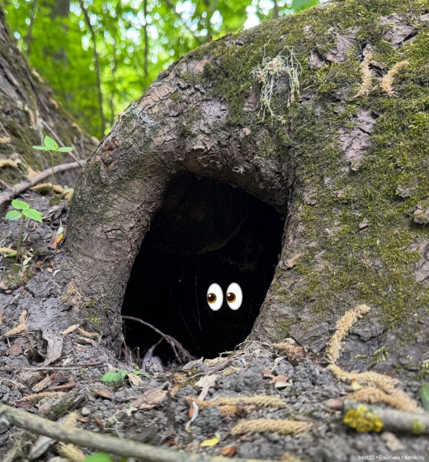 Новый друг Nico — Фигурки Studio (фото 4)