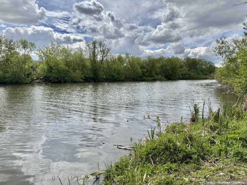 Новый друг Nico — Фигурки Studio