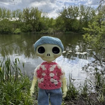 Новый друг Nico