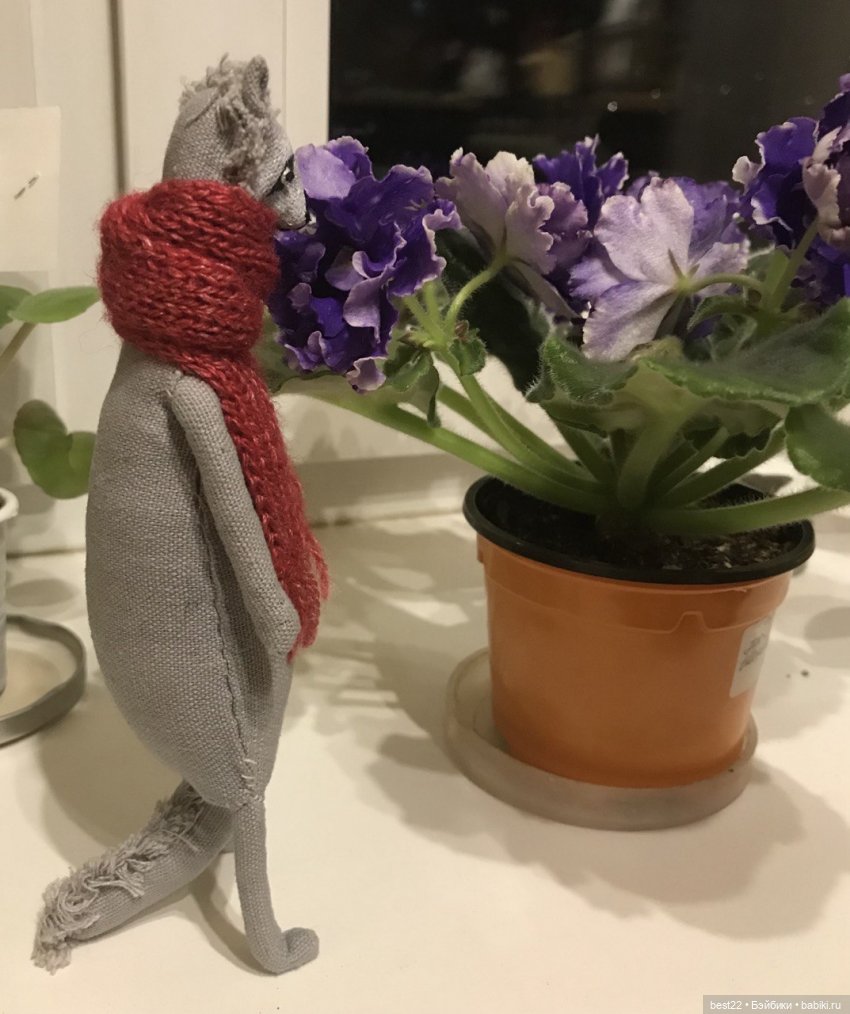 Енот Спартак от good_and_strange (фото 7)