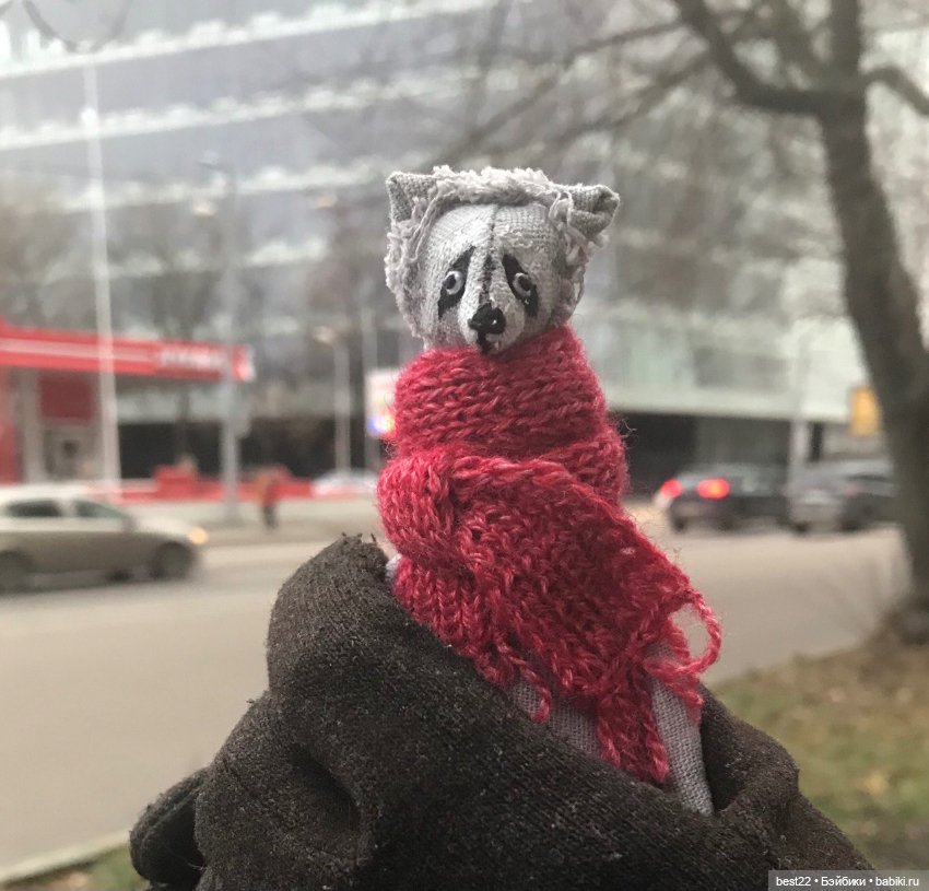 Енот Спартак от good_and_strange