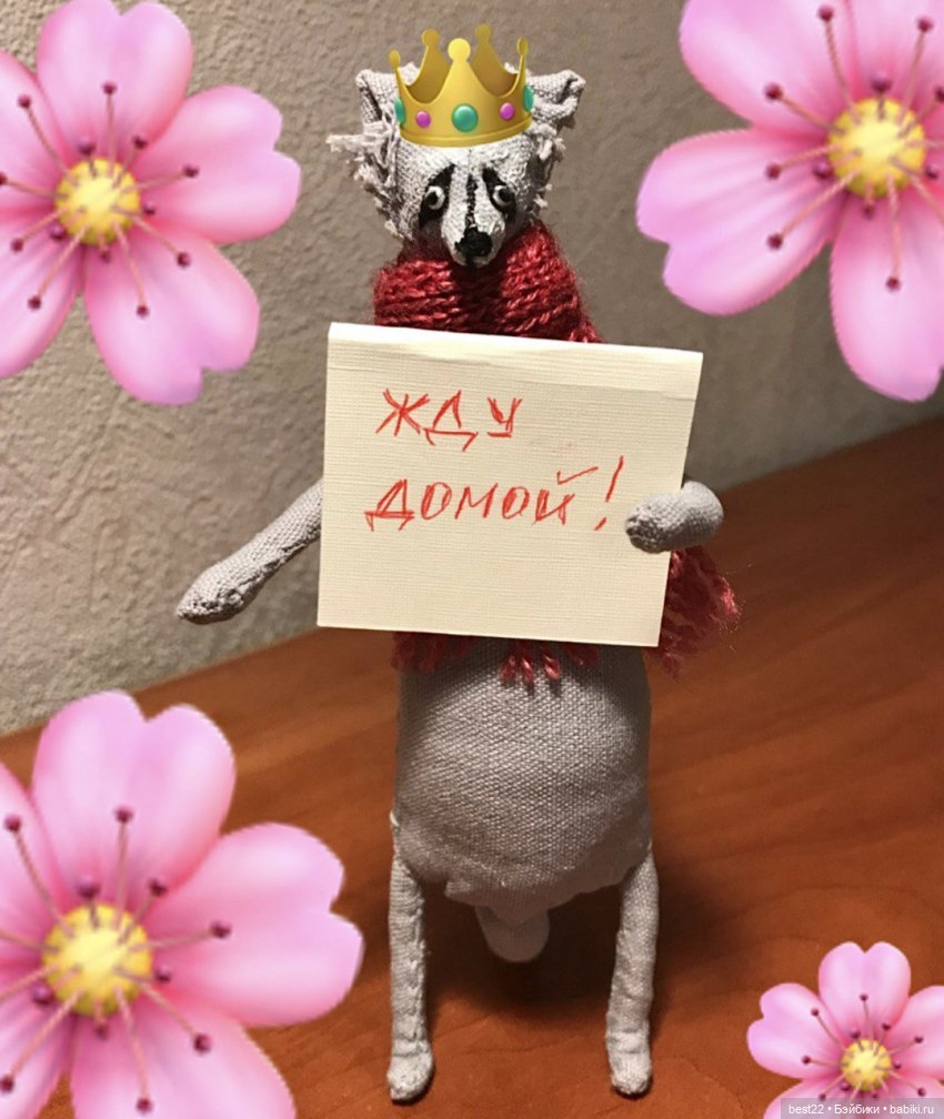 Енот Спартак от good_and_strange