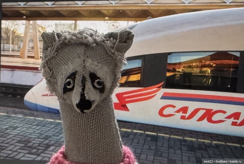 Енот Спартак от good_and_strange