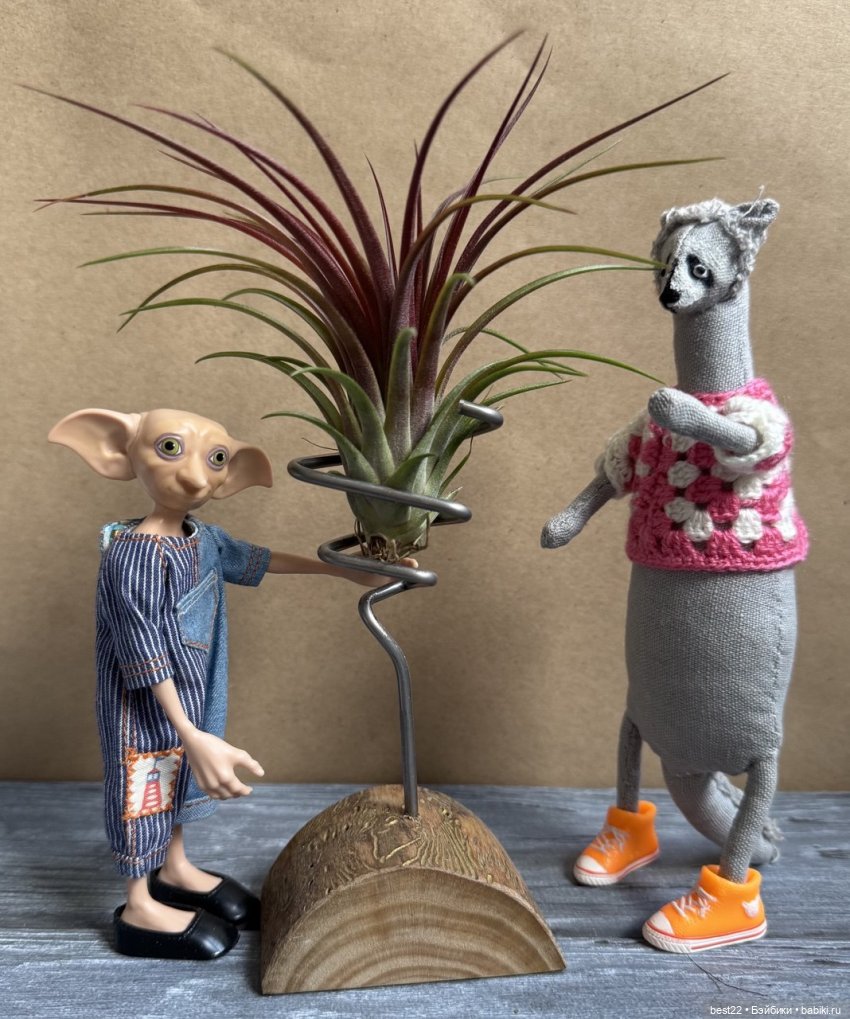 Енот Спартак от good_and_strange (фото 6)