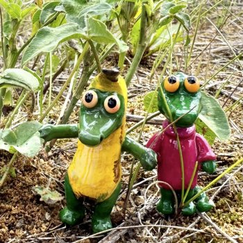 Куклядь крокодиловая