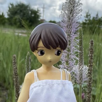 Июньский день с Ayu