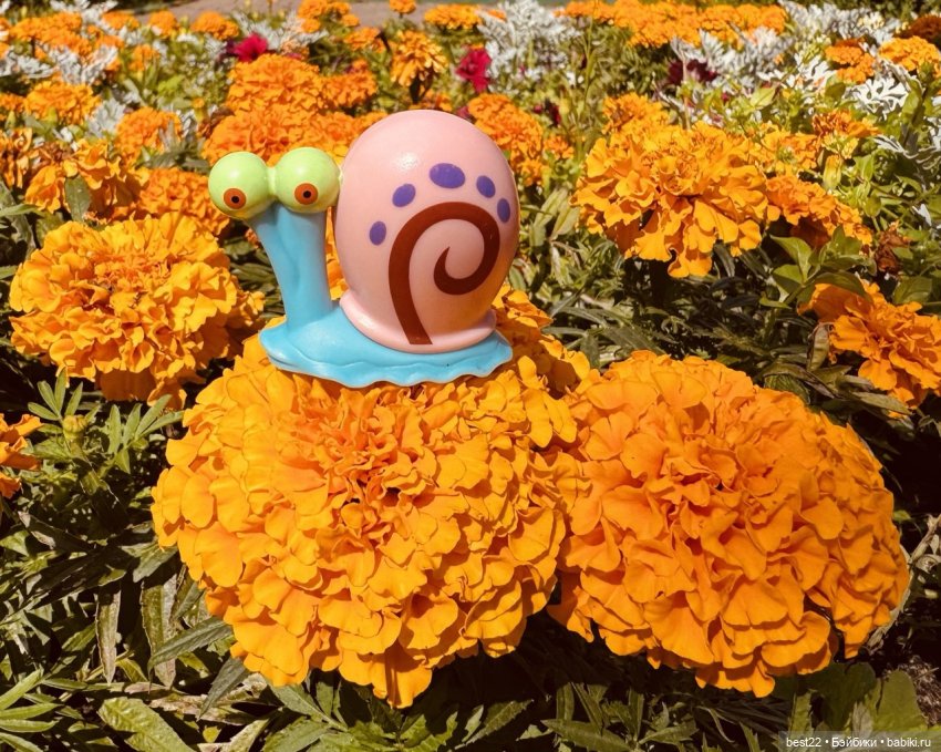 Gary the Snail. Август 2025 | Бэйбики Gary the Snail. Август 2025 (фото 3)