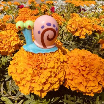 Gary the Snail. Август 2025.