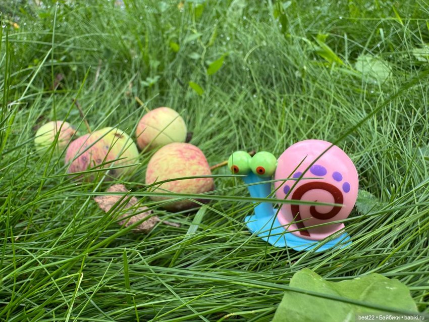 Gary the Snail. Август 2025 | Бэйбики Gary the Snail. Август 2025 (фото 5)