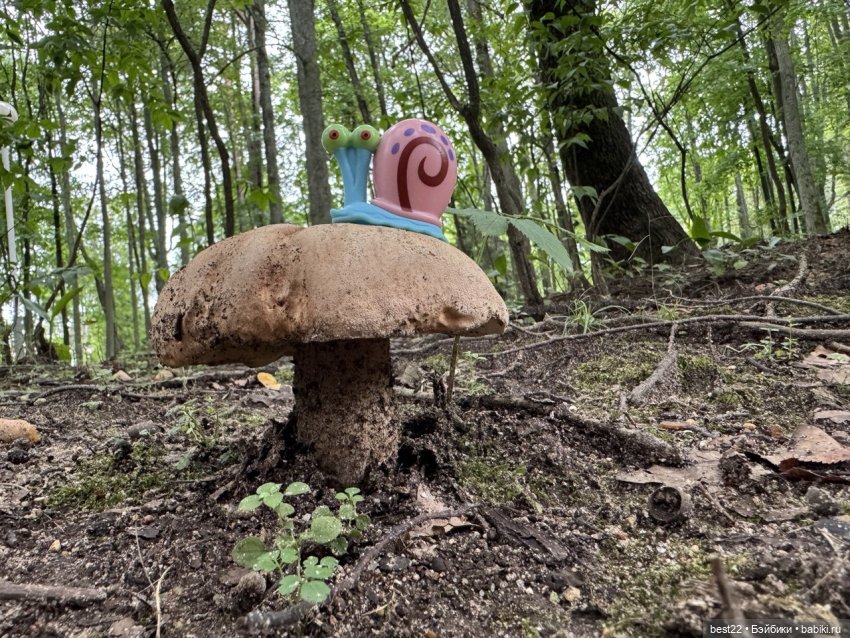 Грибник Гэри — Игровые куклы разных производителей (Разное): редкие бренды (фото 8)