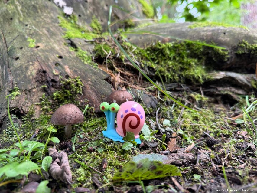 Грибник Гэри — Игровые куклы разных производителей (Разное): редкие бренды (фото 4)