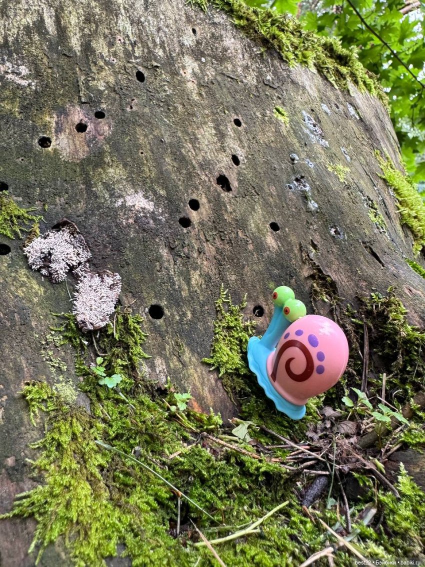 Gary the Snail. Август 2025 | Бэйбики Gary the Snail. Август 2025 (фото 7)